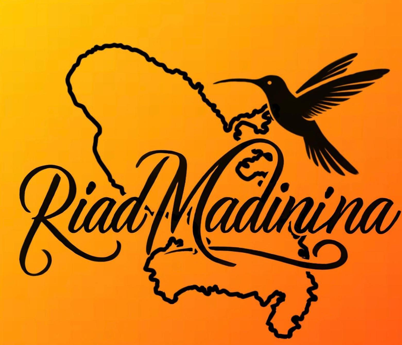 Riad Madinina Marrakesh Extérieur photo